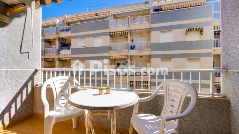 Pis – Torrevieja