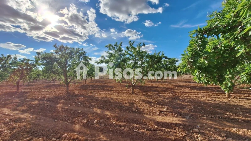 Terreno en venta en Alicante