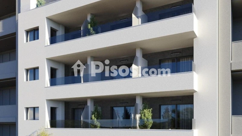 Pis – Torrevieja