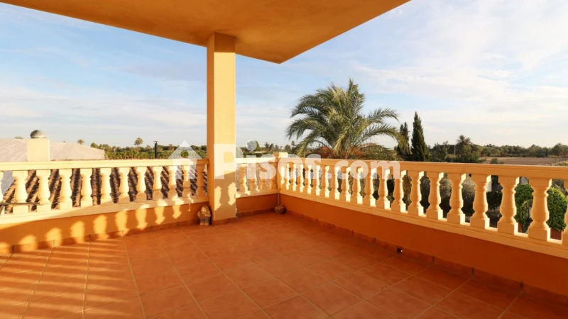 Casa – Elx - Elche