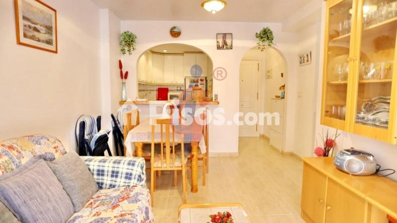 Pis – Guardamar del Segura, Urbanització Pinar de Guardamar