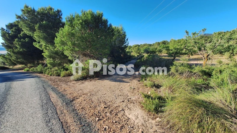 Terreno en venta en Partida El Aler
