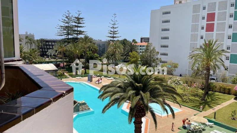 Fotografía del inmueble reportado: 1.250 €/mes — Las Palmas, Las Palmas