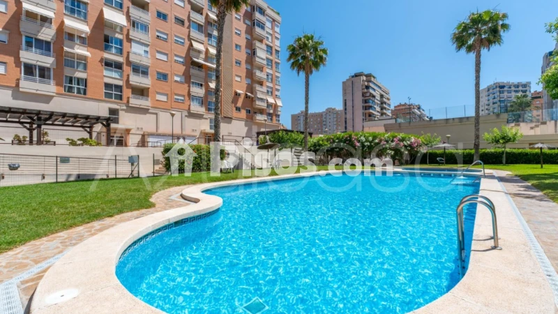 Piso – Alacant / Alicante, l'Albufereta, l'Alacantí