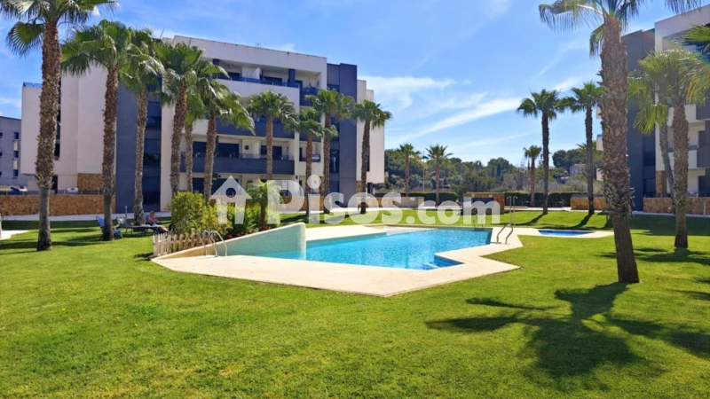 Pis – Orihuela, Urbanización Las Mimosas - La Chismosa, Urbanización la Florida
