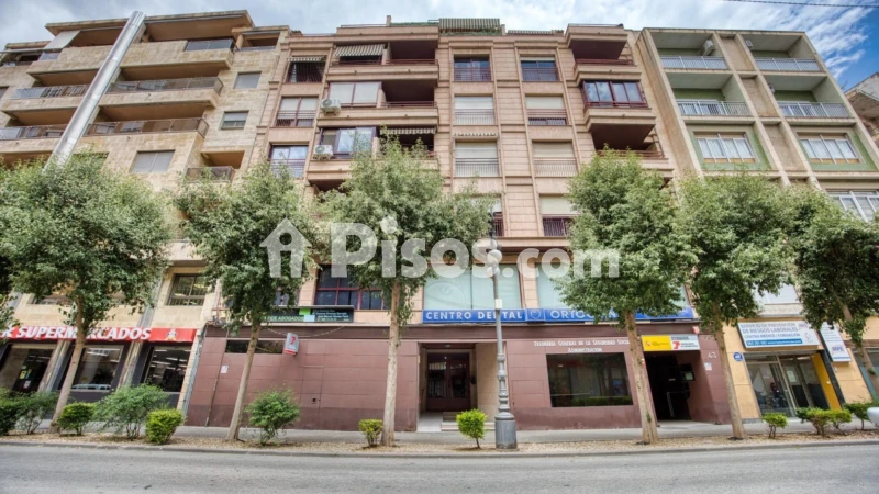 Piso – Orihuela, Obispo Rocamora