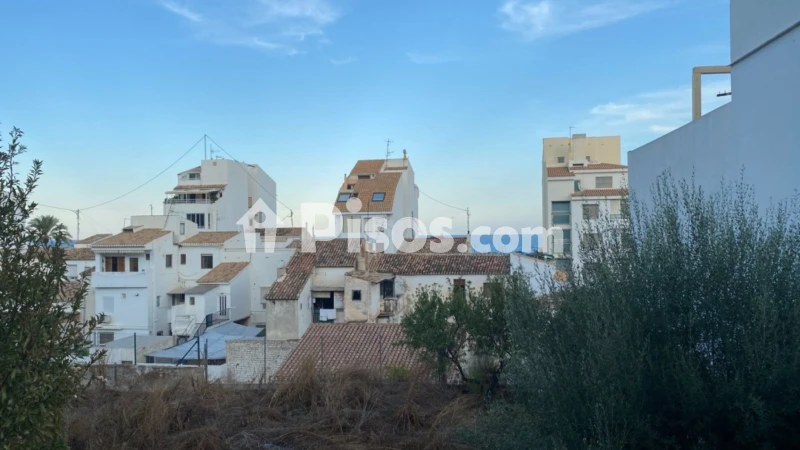 Pis – Altea