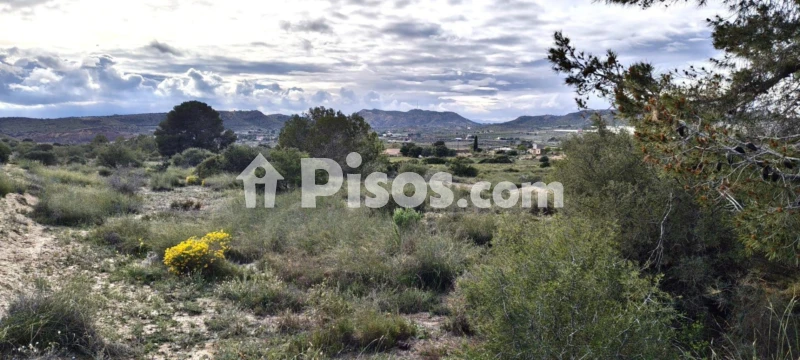 Terreno en venta en Calle Polígono 163 Paraje 416 Las Vallongas