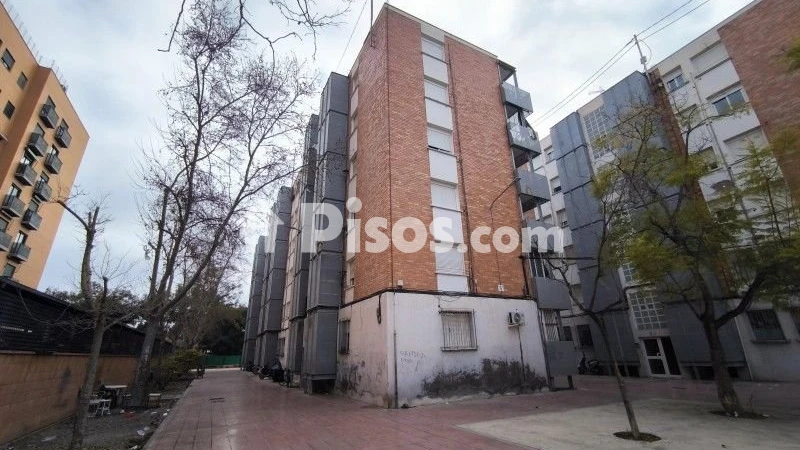 Pis – Sant Vicent del Raspeig - San Vicente del Raspeig