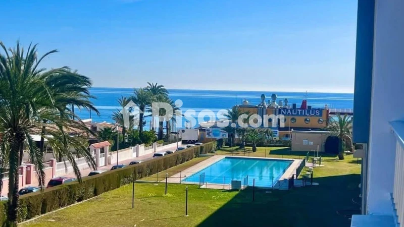 Pis – Torrevieja