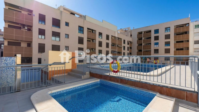 Pis – Torrevieja