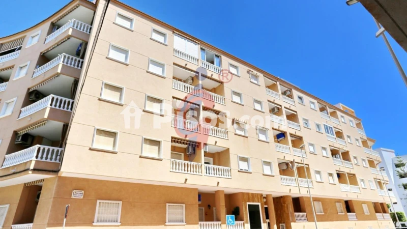 Pis – Guardamar del Segura, Urbanització Pinar de Guardamar