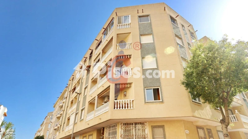 Piso – Guardamar del Segura