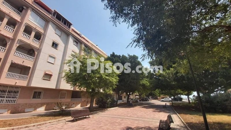 Pis – Torrevieja, San Roque