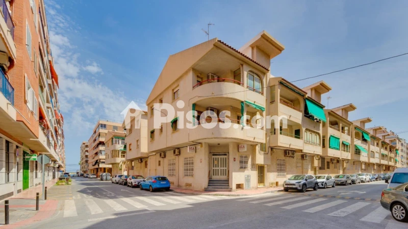 Pis – Torrevieja, San Roque