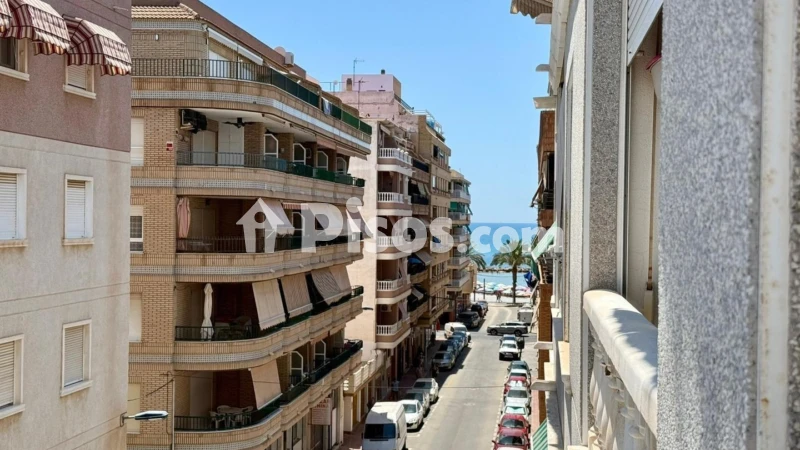 Pis – Torrevieja