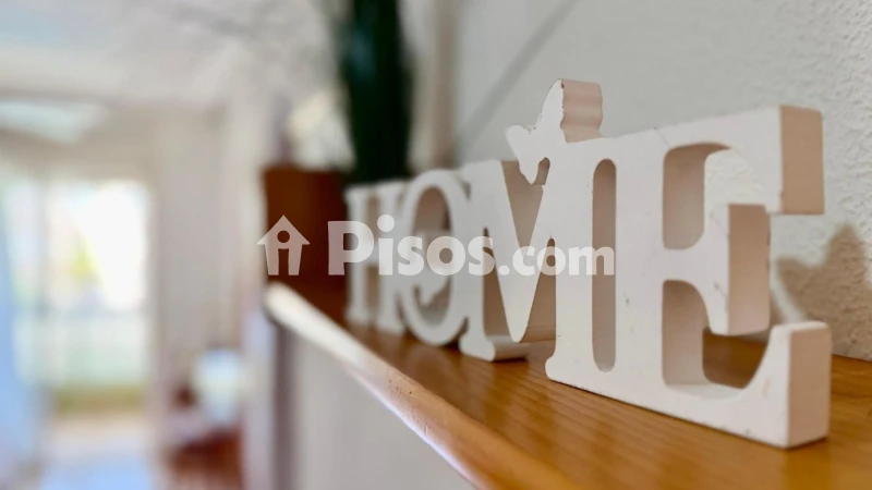 Pis – Torrevieja