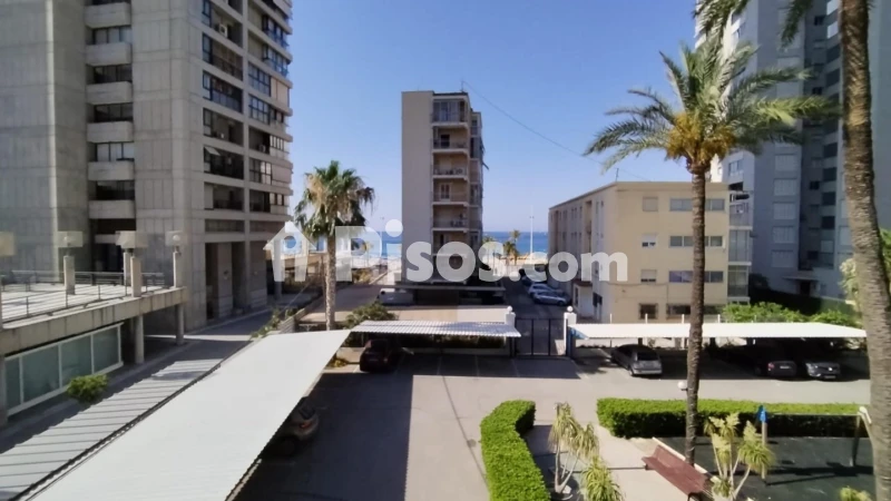 Pis – Benidorm