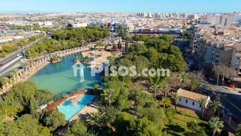 Pis – Torrevieja