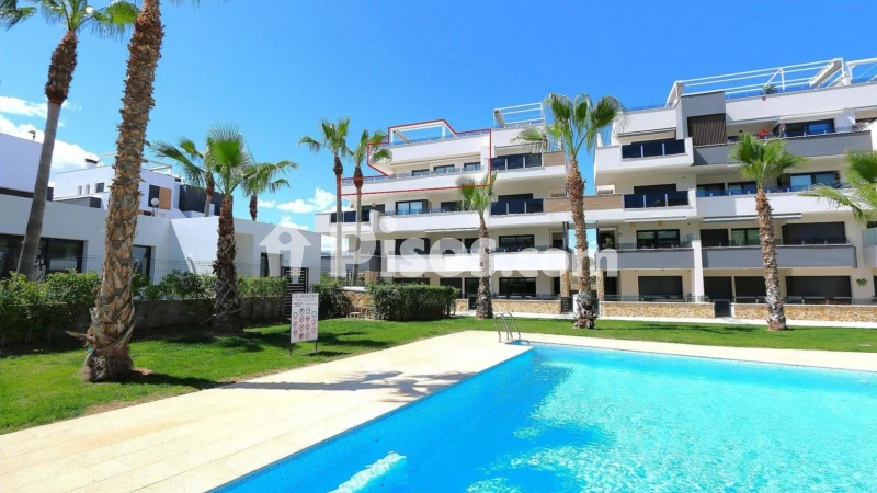 Pis – Orihuela, La Pinada, Urbanización la Florida