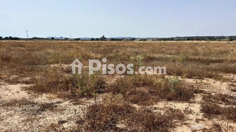 Terreno en venta en Almansa