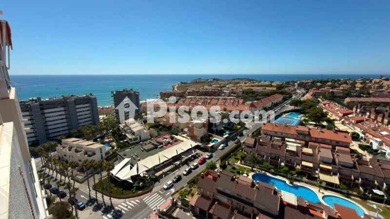 Pis – Alicante - Alacant
