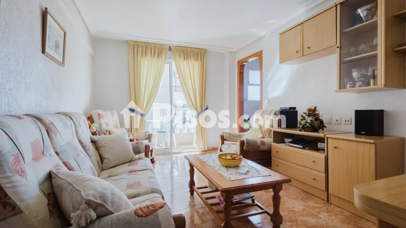 Piso – Torrevieja, Europa
