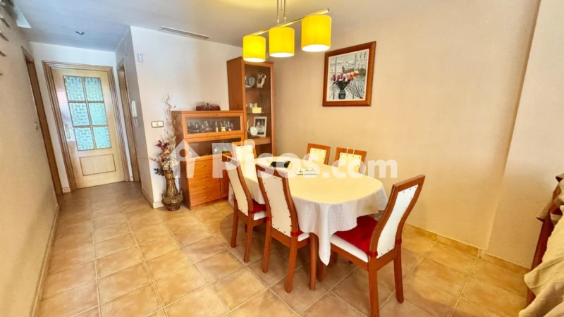 Casa – Orihuela, Media Legua