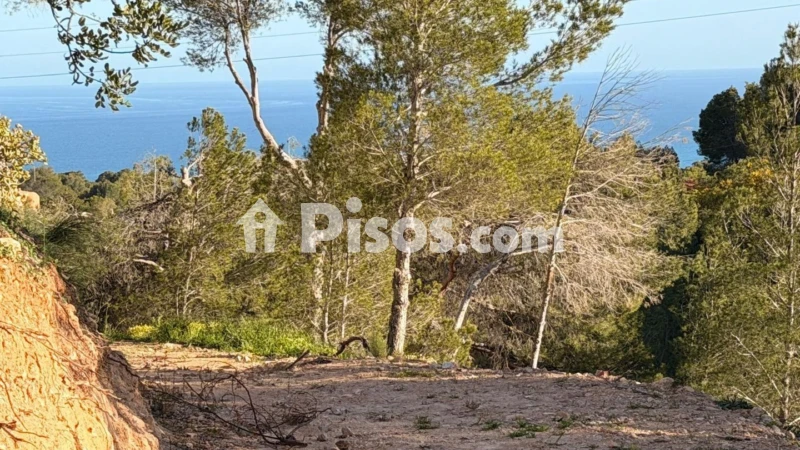 Terreno en venta en Galera de Las Palmeras