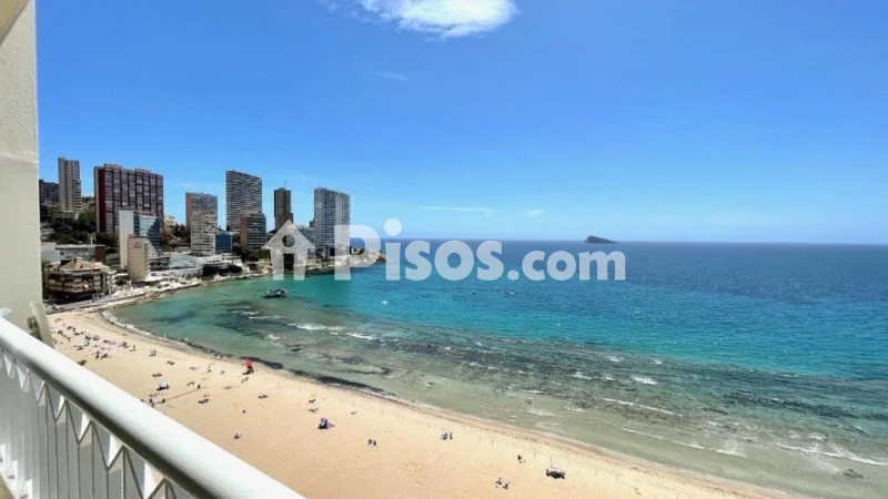 Pis – Benidorm