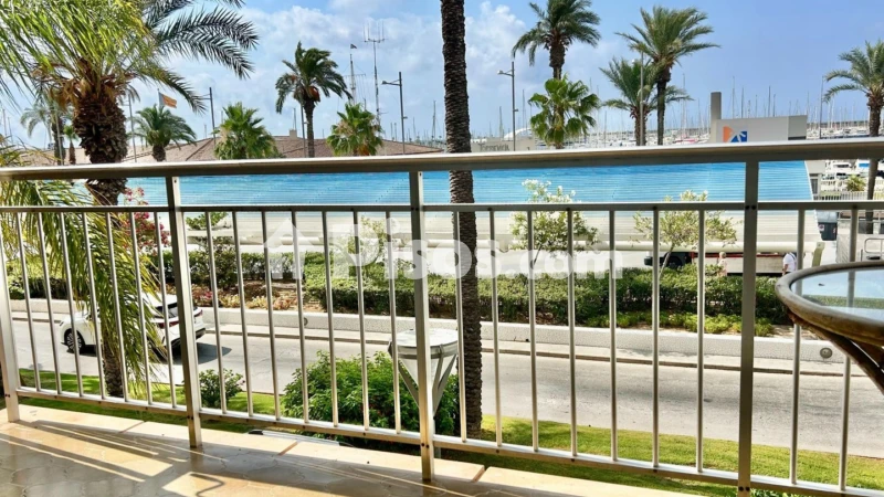 Pis – Torrevieja