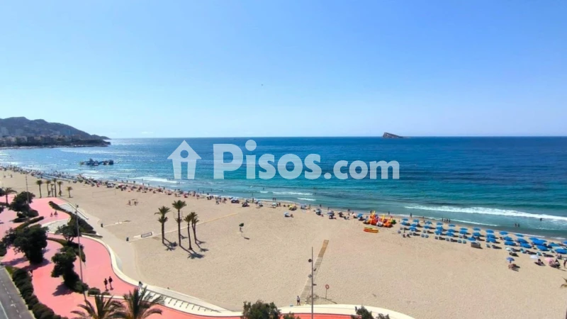 Pis – Benidorm