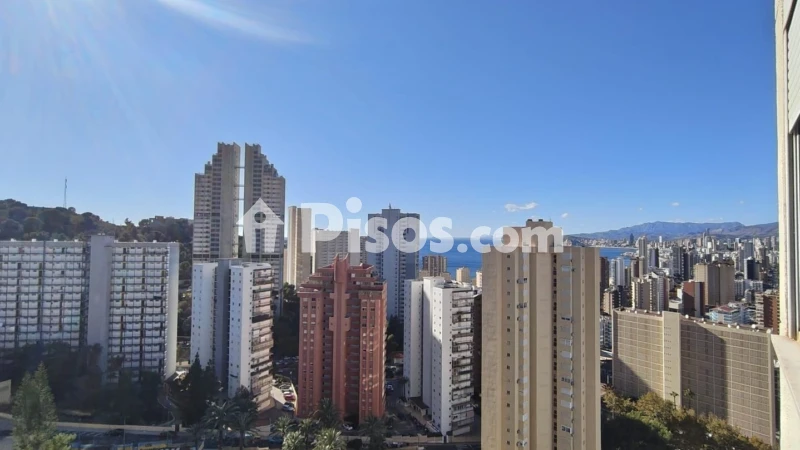 Pis – Benidorm