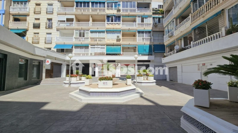 Pis – Torrevieja