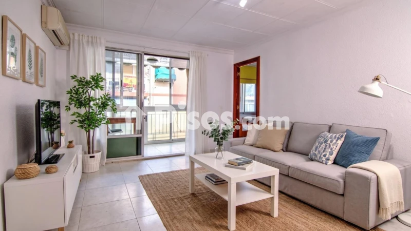 Pis – Alacant / Alicante, la Florida Alta, l'Alacantí