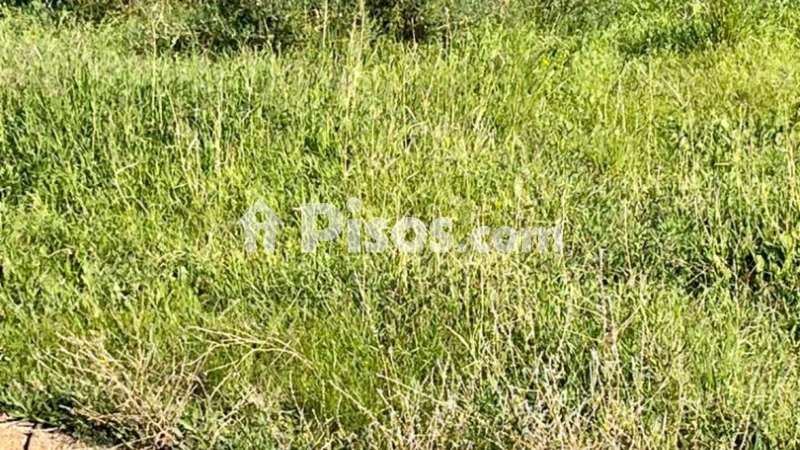 Terreno en venta en Partida Altabix