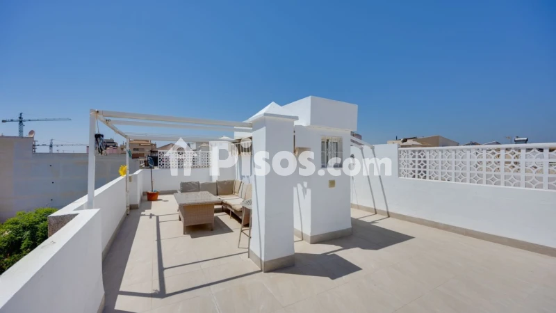 Pis – Torrevieja