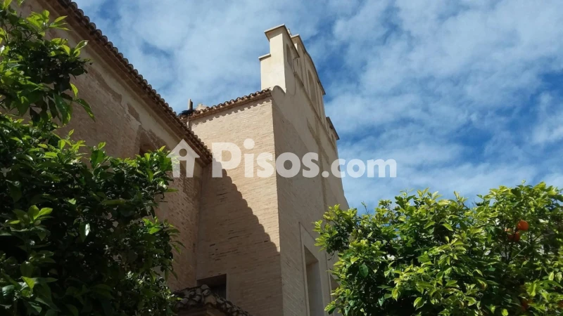 Pis – Elx - Elche