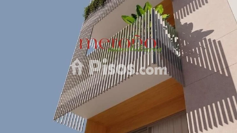 Pis – Elche/Elx, el Pla, el Baix Vinalopó