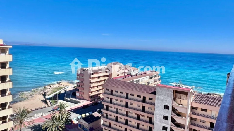 Pis – Torrevieja