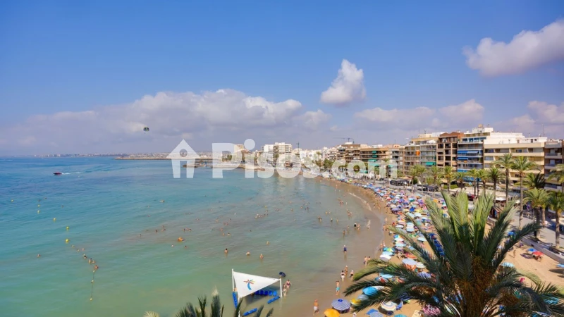 Pis – Torrevieja