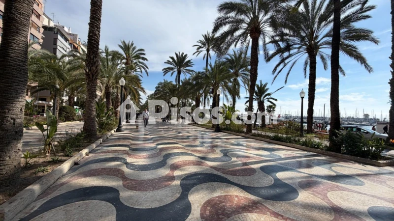 Piso – Alicante - Alacant