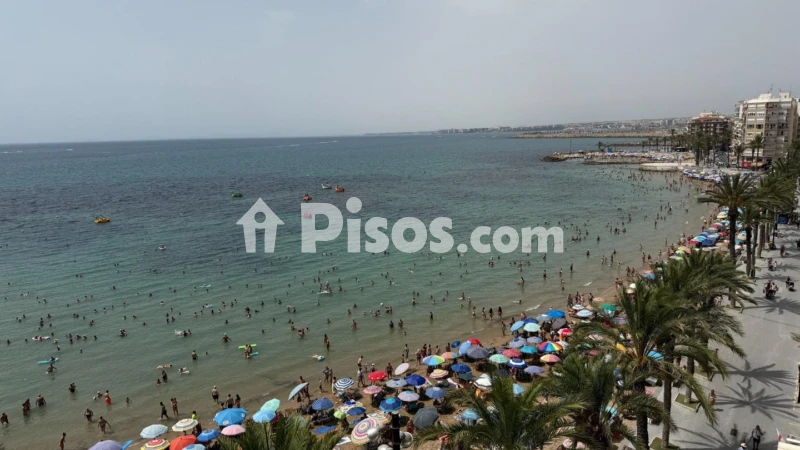 Pis – Torrevieja