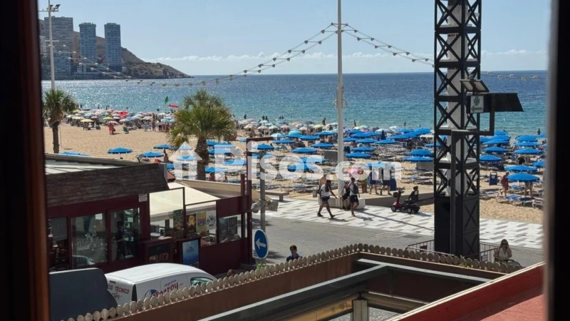 Pis – Benidorm