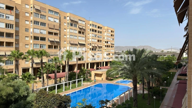Pis – Alicante - Alacant