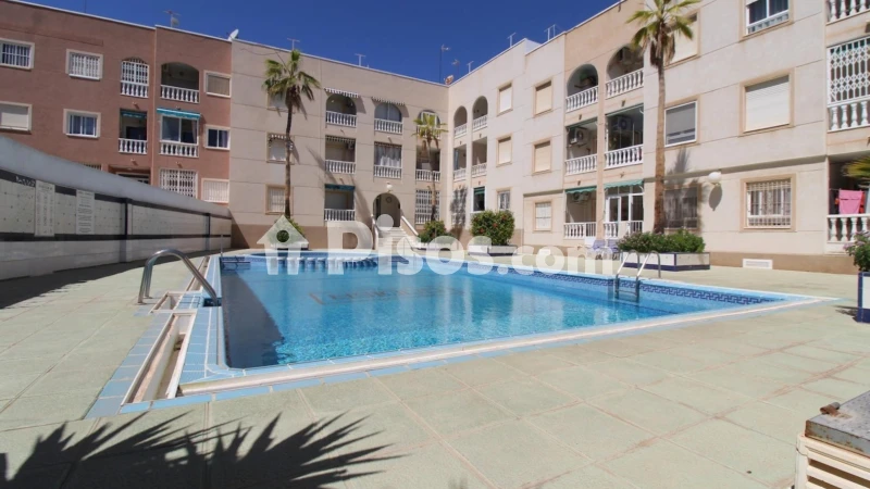 Pis – Torrevieja