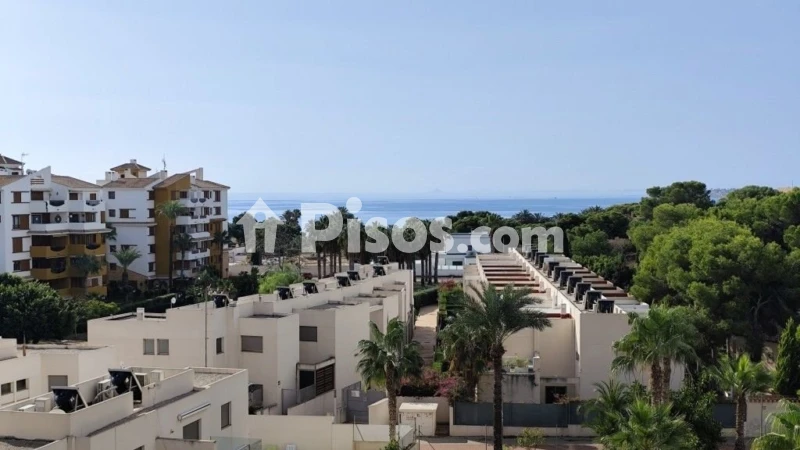Pis – Torrevieja