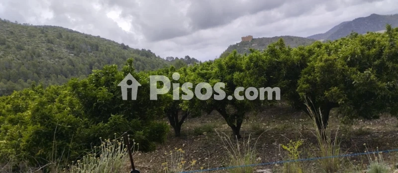 Terreno en venta en Forna