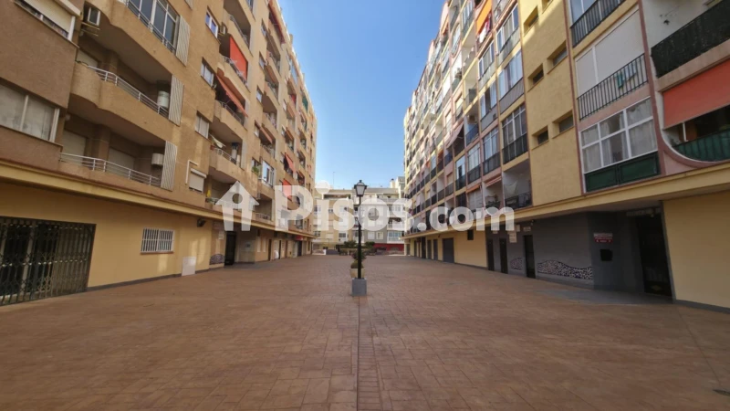 Pis – Torrevieja