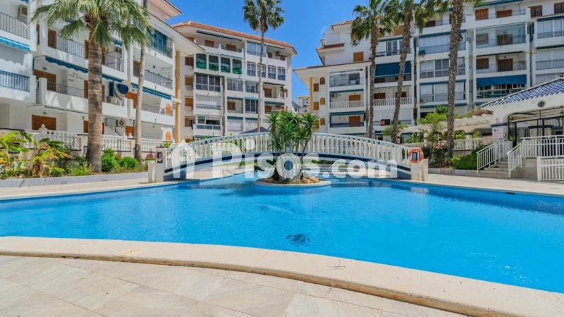 Piso – Torrevieja, La Mata